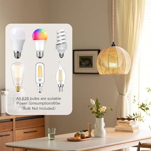 Hanging Lamp Kit with On/Off Switch, Plug in Pendant Light Kit for Home Lighting, 15ft
