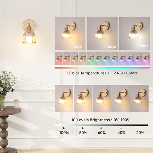 intage Battery Operated Wall Sconce with Amber Tulip Glass Lampshade Rechargeable Battery