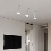 Fionn Ceiling Light