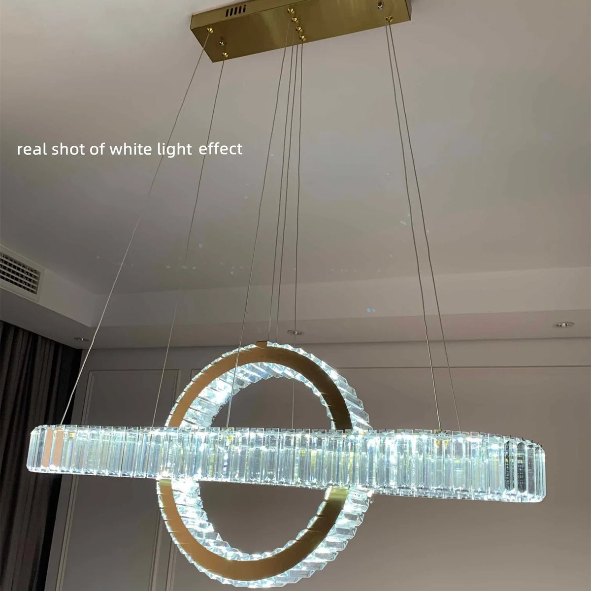 Oval Chrome Gold Steel LED Dimmable Pendant Lights