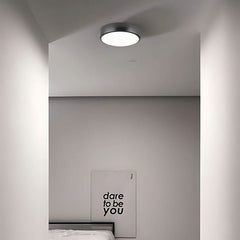 Viyan Ceiling Light