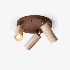 Terra Beam Ceiling Light