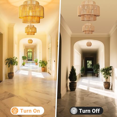 Hanging Light Ceiling Lamp Pendant Lights Rattan Hanging Lamp with Plug in Cord for