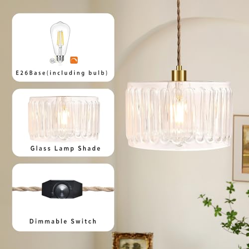 QIYIZM Glass Plug in Pendant Light Hanging Lights with Plug in Cord Milk White Hanging