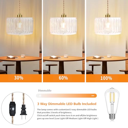 QIYIZM Glass Plug in Pendant Light Hanging Lights with Plug in Cord Milk White Hanging