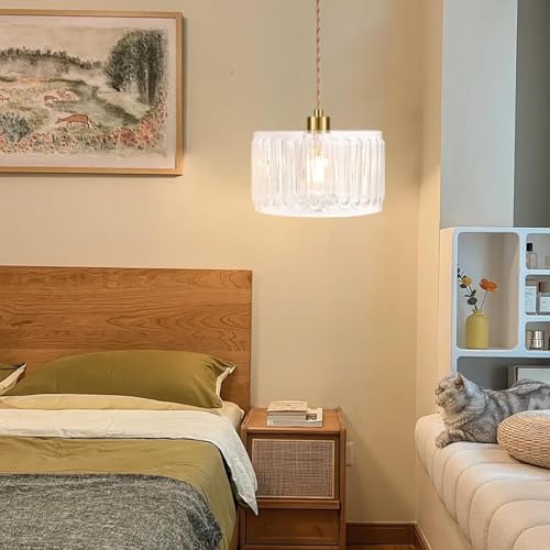 QIYIZM Glass Plug in Pendant Light Hanging Lights with Plug in Cord Milk White Hanging
