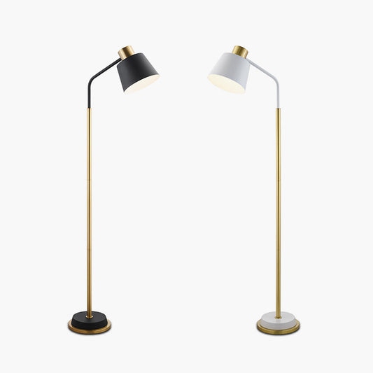 Remote Control Floor Lamp for Living Room