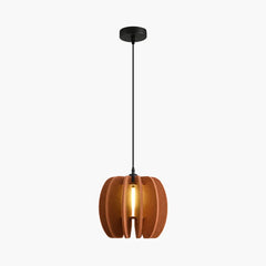 Circular Arc Piece Acoustic Pendant Light