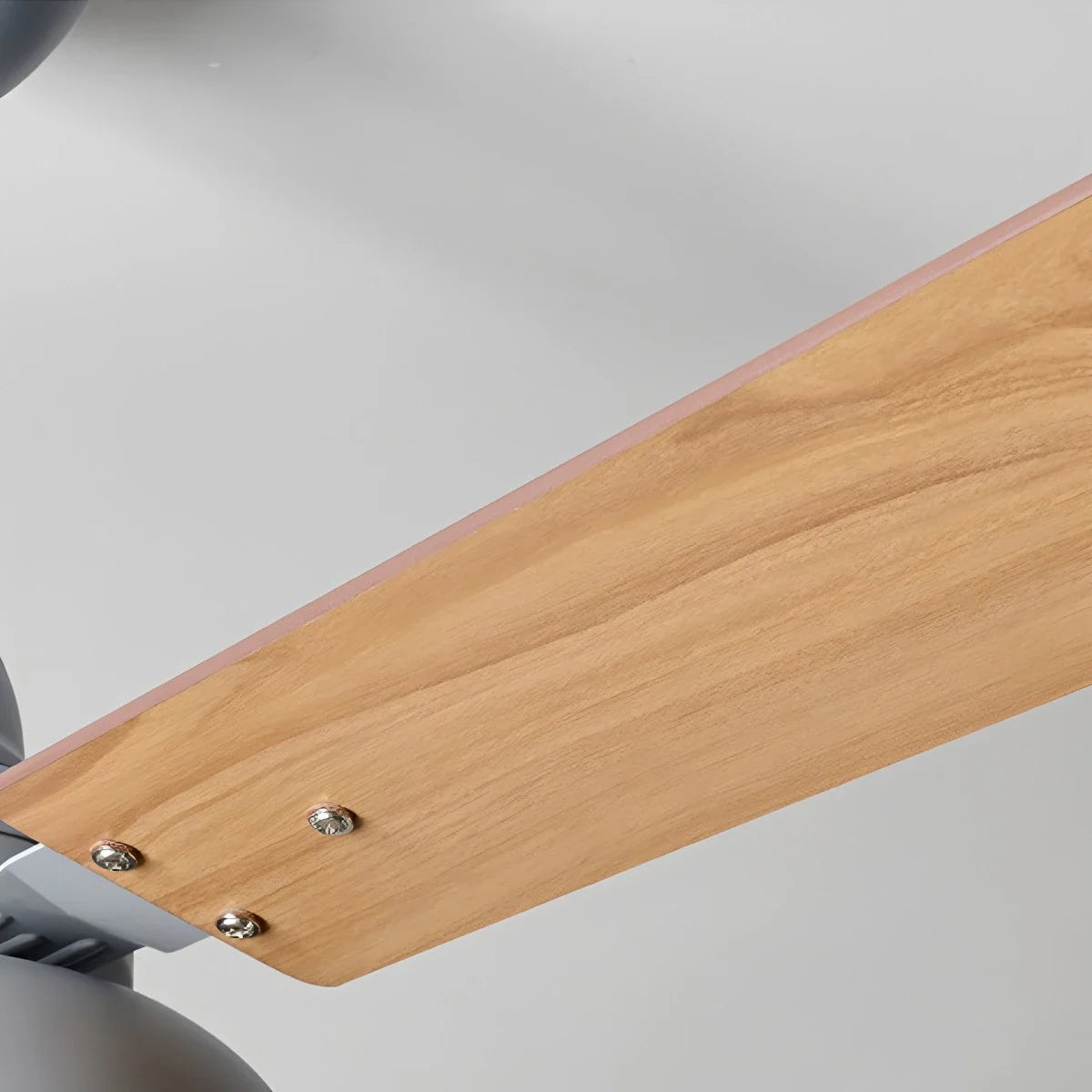 Modern Minimalist Three Leaf Ceiling Fan Light – detail 30