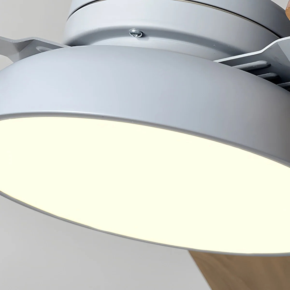 Modern Minimalist Three Leaf Ceiling Fan Light – detail 31