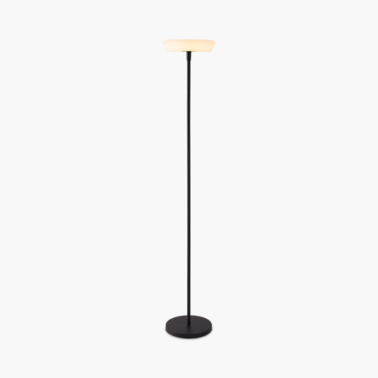 Outdoor Solar LED Floor Lamp for Garden