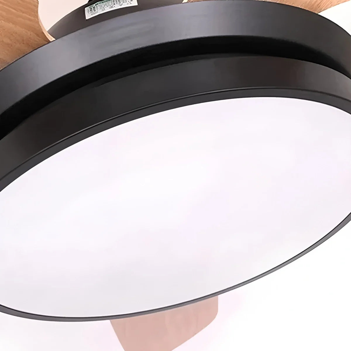 5 Blade Ceiling Fan Light for Living Room – detail 13