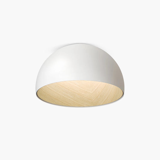 Duo Plane/Slanted Ceiling Lamp
