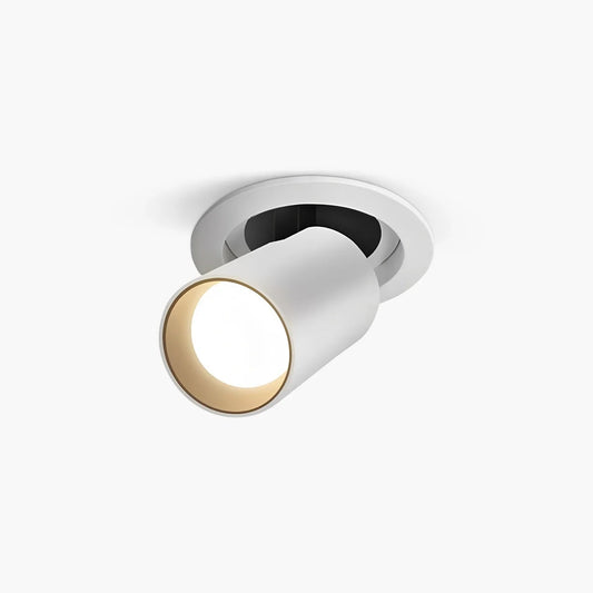 Adjustable Embedded Ceiling Spotlight Ceiling Light