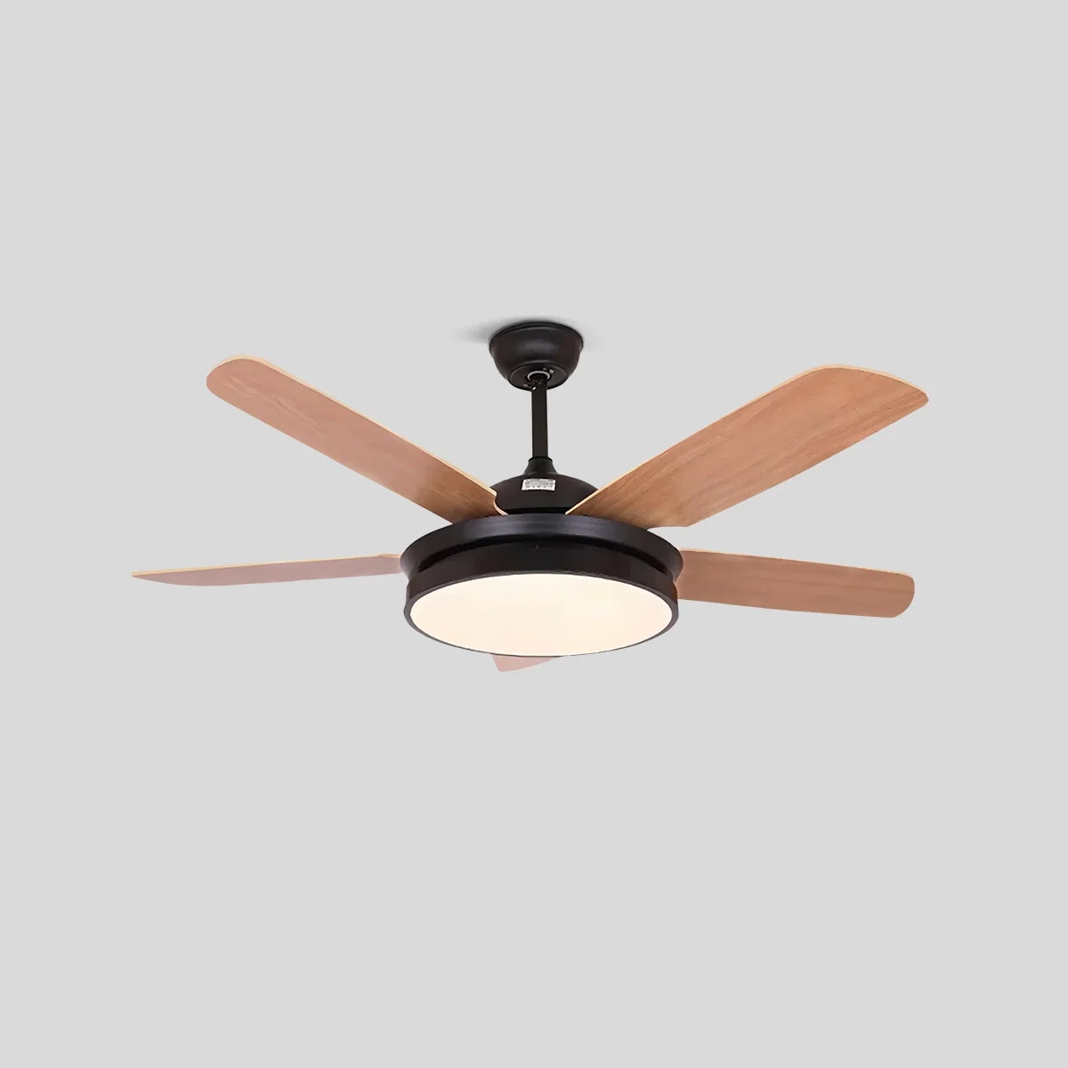 5 Blade Ceiling Fan Light for Living Room – detail 3