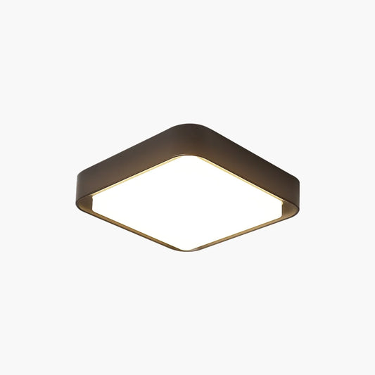 Outdoor Waterproof Corridor Balcony Ceiling Light