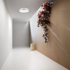 Deyra Ceiling Light