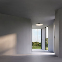 Emris Ceiling Lamp