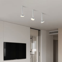 Fionn Ceiling Light