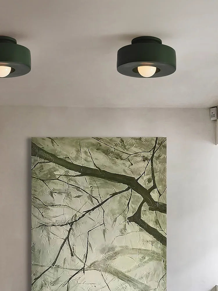 Original Personality Coloured Ceiling