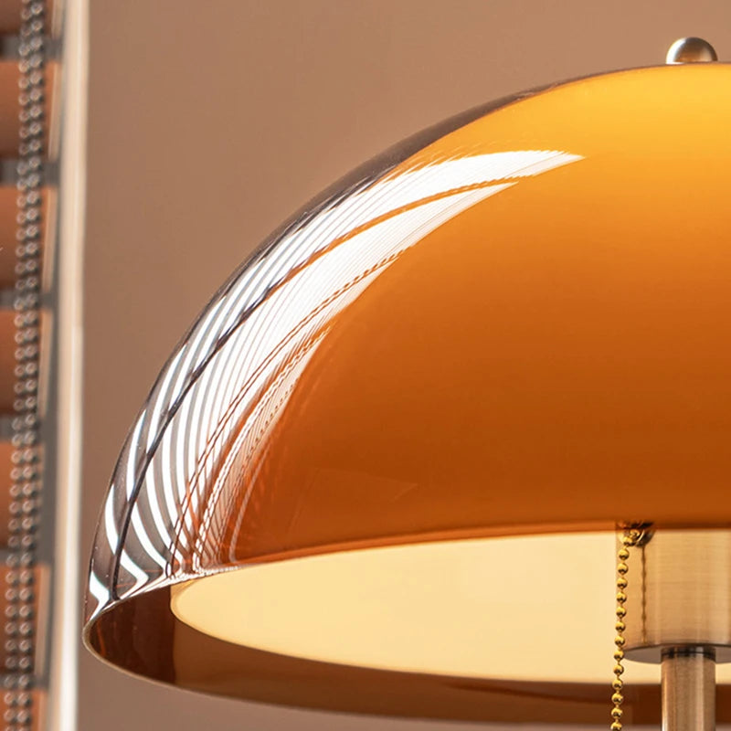 Dark Brown Acrylic Lampshade Floor Lamp E27 Bulb