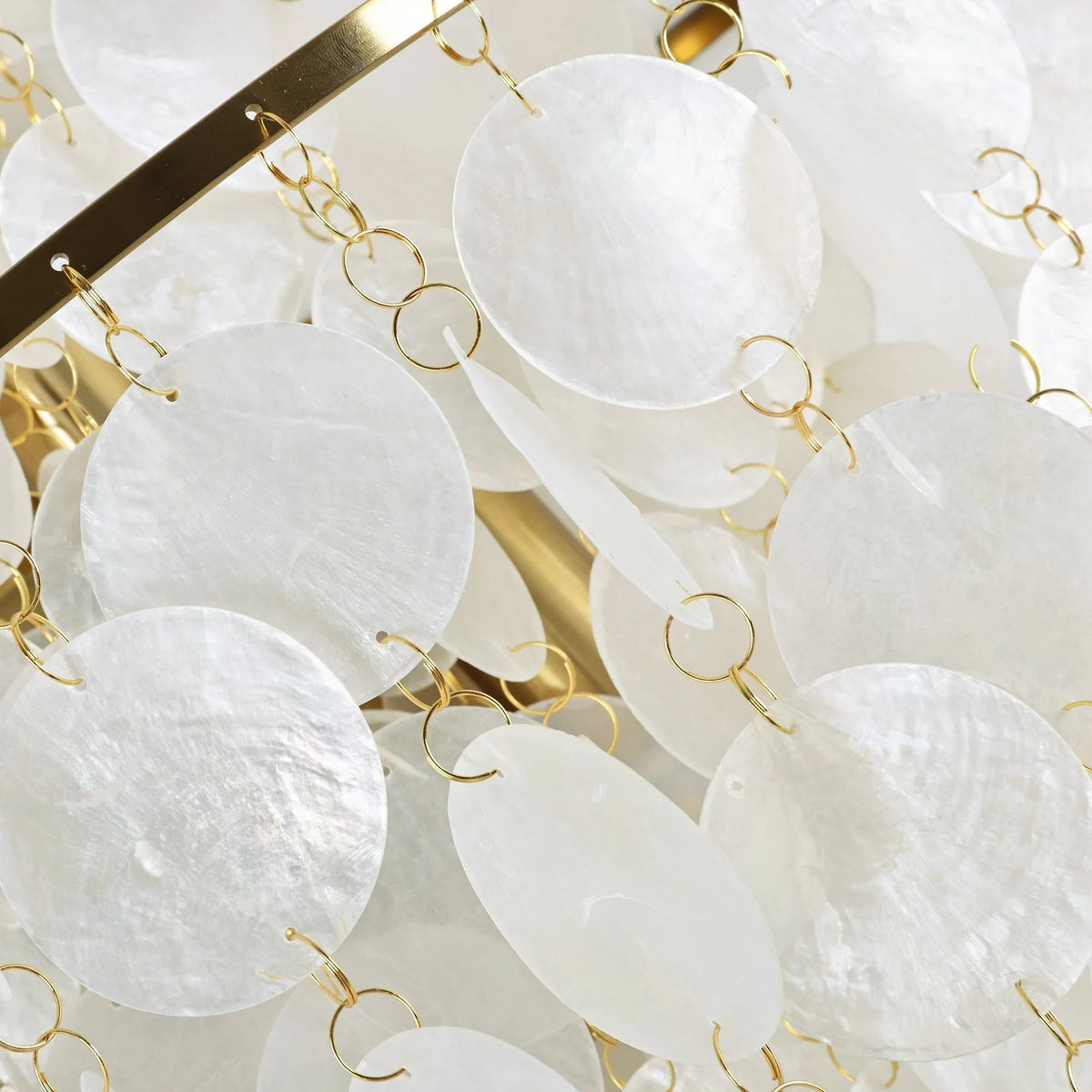 Shell Wall Lamp – Shell detail 15