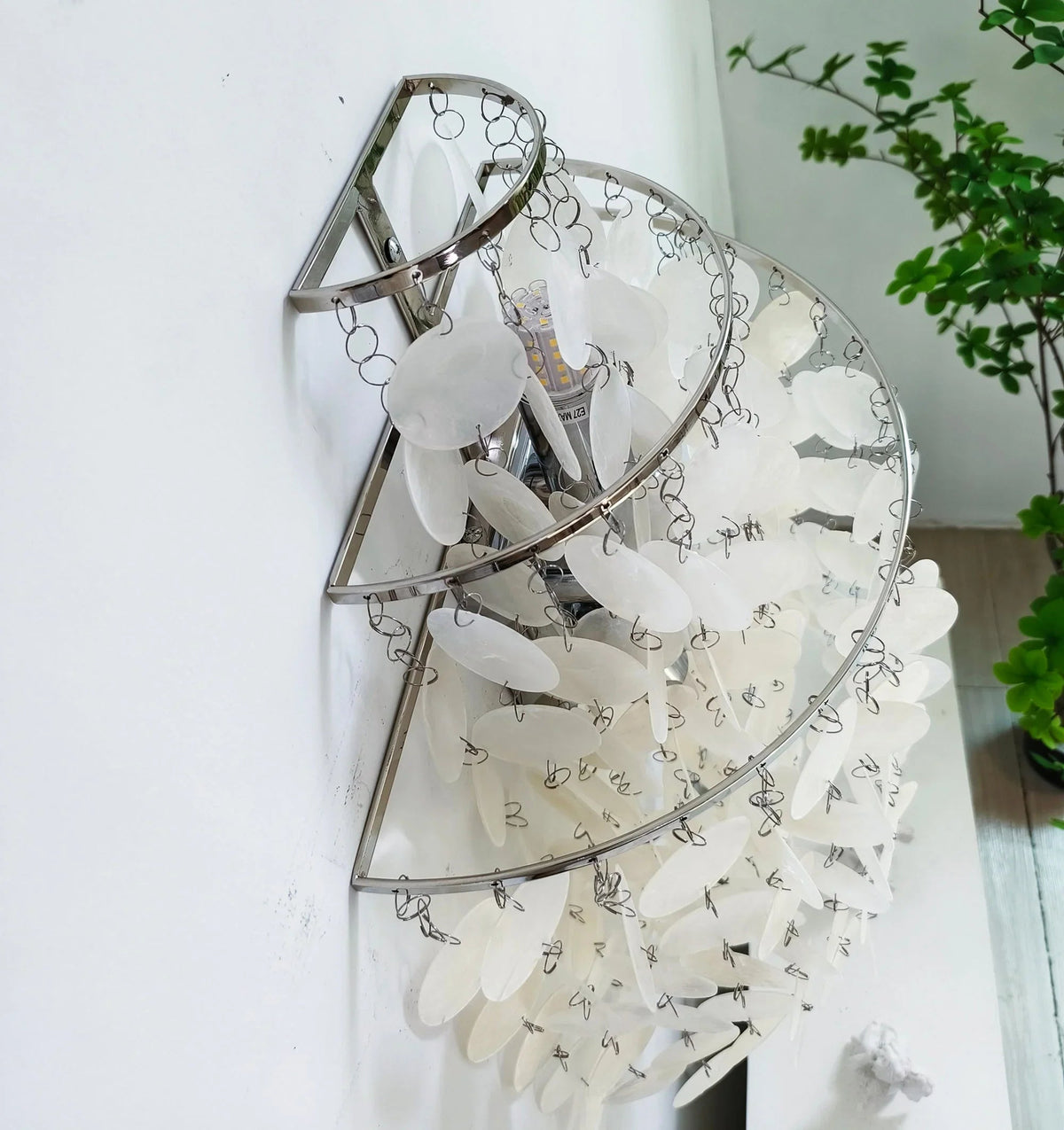 Shell Wall Lamp – Shell detail 25