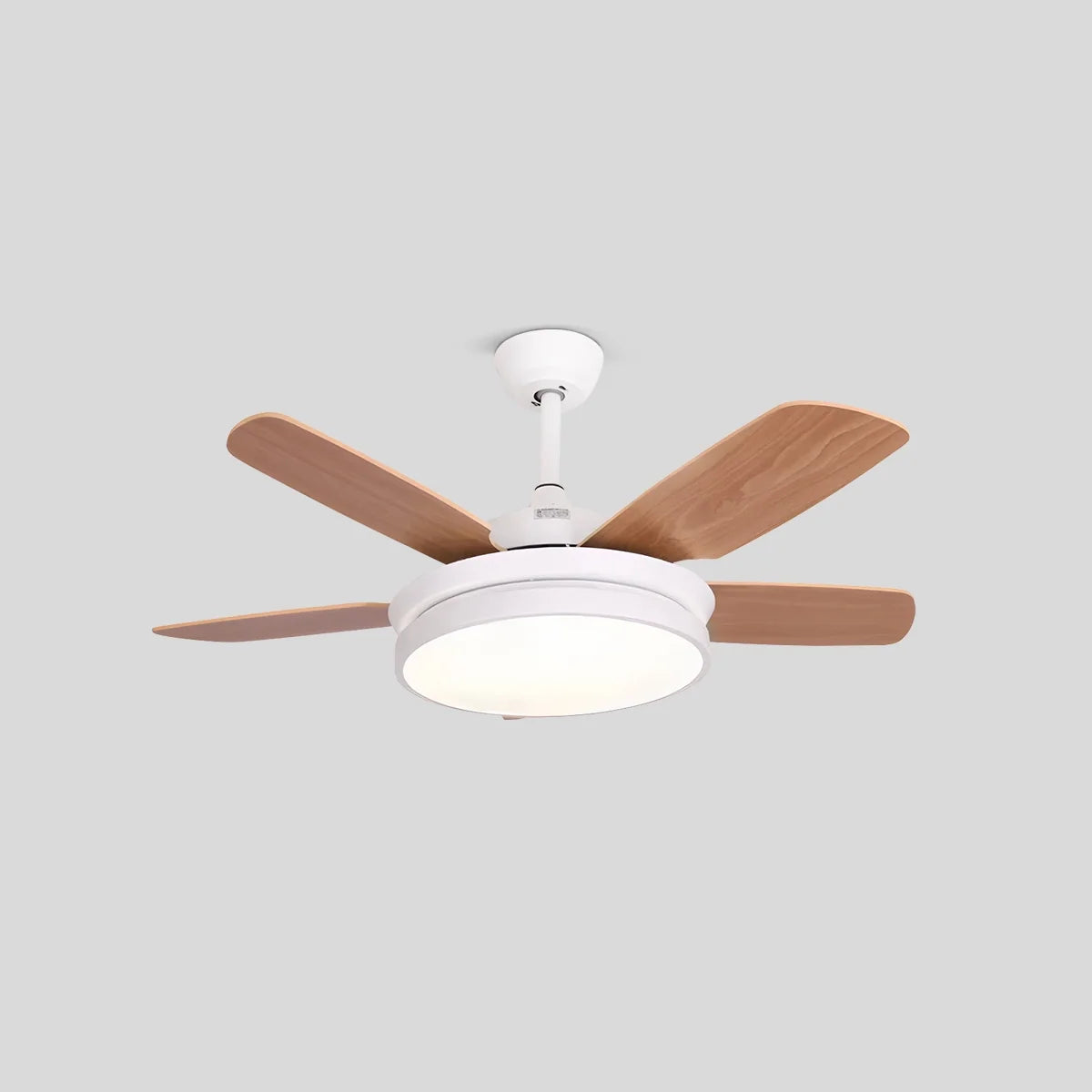 5 Blade Ceiling Fan Light for Living Room – detail 8