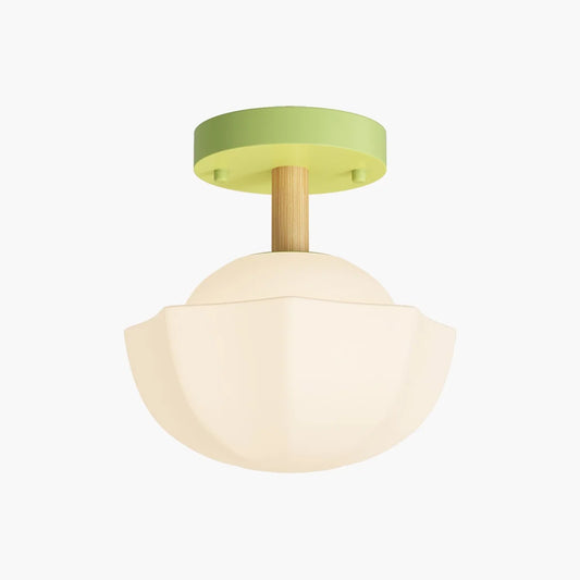 Creative Pastoral Style LED Ceiling Light