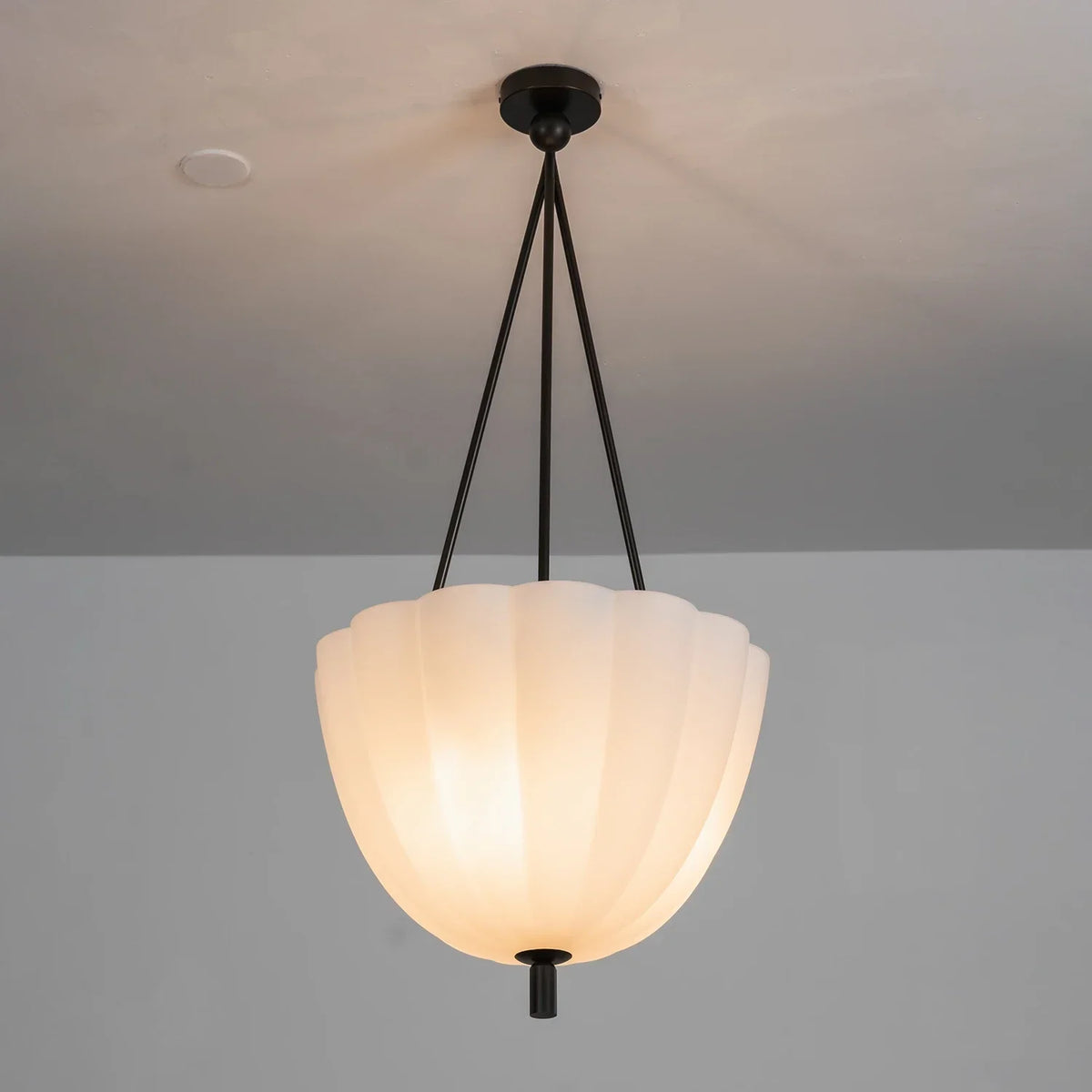 Fluted Glass Volare Scalloped Pendant Lamp – Glass detail 16