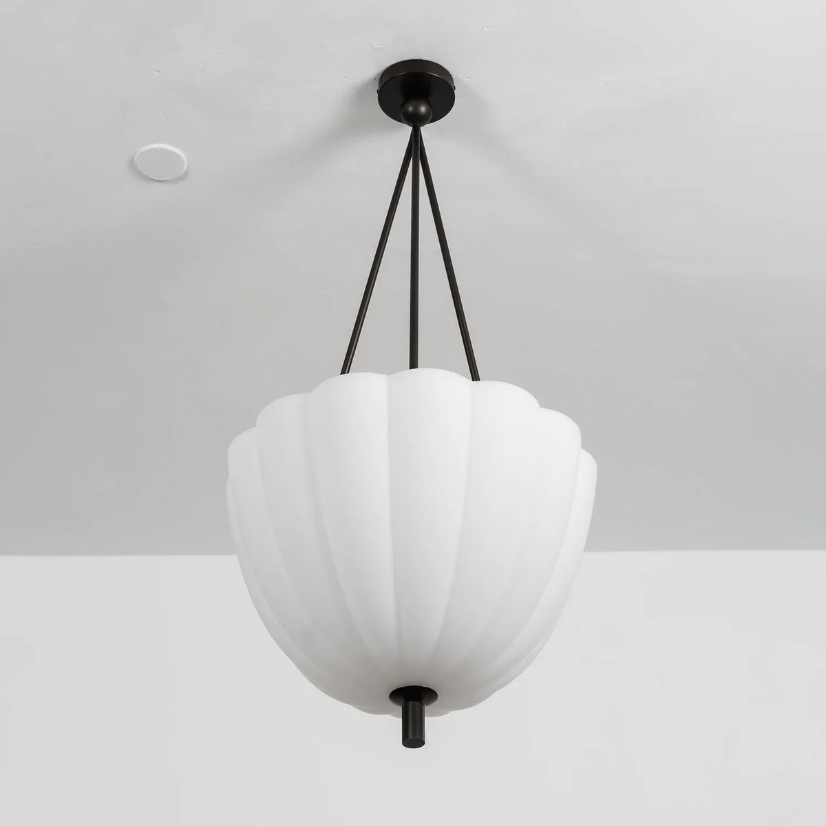 Fluted Glass Volare Scalloped Pendant Lamp – Glass detail 17