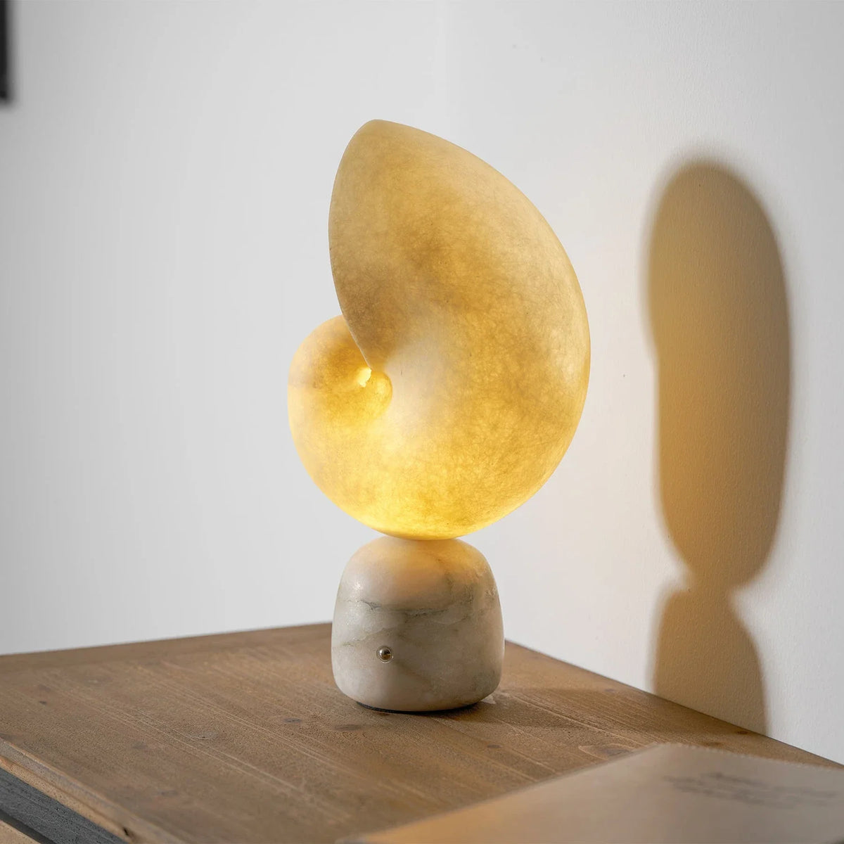 Nerida Spiral Shell Alabaster Table Lamp – Alabaster detail 8