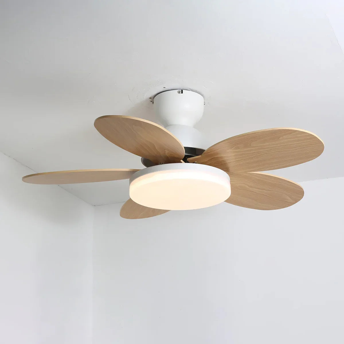 Petal Shaped Petalo Copper Ceiling Fan Light – Copper detail 20