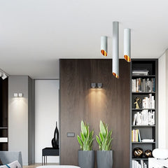 Siona Ceiling Light