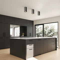 Vela Ceiling Light